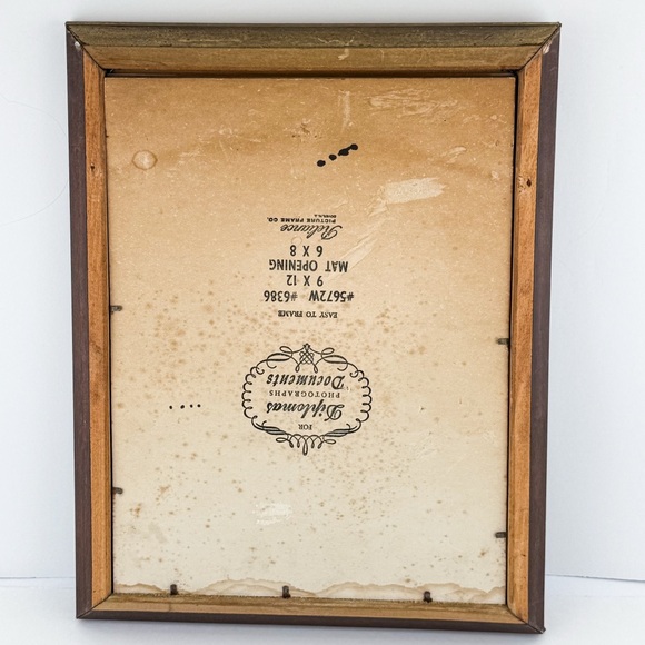 Vintage Framed Botanical Print Plate VIII Herbs Juniper Currants Hoarhound 12x9 - Picture 8 of 10